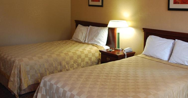 The Chatt Inn Chattanooga Chambre photo
